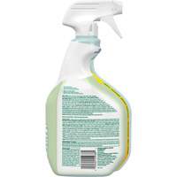CloroxPro Clorox EcoClean Disinfecting Cleaner, 946 ml, Trigger Bottle CSL Industriel Inc.