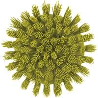 HyDrive Round Drill Brush, Extra Stiff Bristles, 3-1/10" Long, Yellow CSL Industriel Inc.