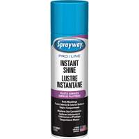 Brillant instantan&eacute; Pro Line pour surfaces en plastique, 11 oz, Canette a&eacute;rosol CSL Industriel Inc.