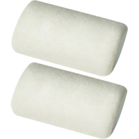 Manchons pour rouleau de calibre professionnel, Nap 6 mm (1/4"), 101,6 mm (4") l CSL Industriel Inc.