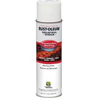 Water Based Marking Paint, 17 oz., Aerosol Can CSL Industriel Inc.