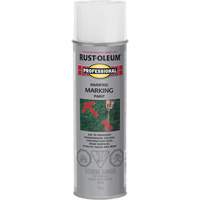 Inverted Marking Paint Spray, 426 g, Aerosol Can CSL Industriel Inc.
