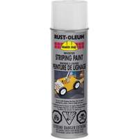 Inverted Marking Paint Spray, White, Aerosol Can CSL Industriel Inc.