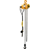 Budgit&reg; Air Chain Hoists CSL Industriel Inc.