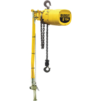 Budgit&reg; Series 6000 Air Hoists CSL Industriel Inc.