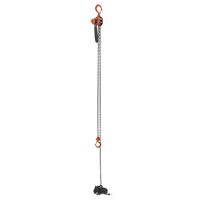 Mini Lever Hoist, 15' Lift, 500 lbs. (0.25 tons) Capacity, Steel Chain CSL Industriel Inc.