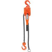 Lever Hoist, 10' Lift, 1500 lbs. (0.75 tons) Capacity, Alloy Steel Chain CSL Industriel Inc.