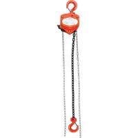 Chain Hoist, 20' Lift, 2000 lbs. (1 tons) Capacity, Alloy Steel Chain CSL Industriel Inc.