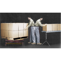 Plateformes de levage manuelles Pallet Pal, 43-5/8" lo x 43-5/8" la, Capacit&eacute; 4500 lb CSL Industriel Inc.