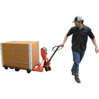 Pallet Truck, 48" L x 27.5" W, 5000 lbs. Cap. CSL Industriel Inc.