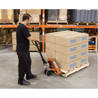 Heavy-Duty Manual Pallet Truck, Steel, 48" L x 27" W, 5500 lbs. Capacity CSL Industriel Inc.