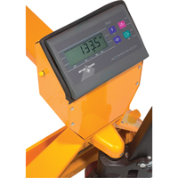 Digital Scale Pallet Truck, 47.5" L x 22" W, 5000 lbs. Cap. CSL Industriel Inc.