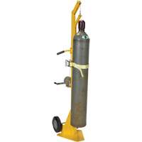 Portable Cylinder Lifter CSL Industriel Inc.