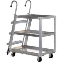 Stockpicker Truck, Aluminum, 21-7/8" W x 40" D, 3 Shelves, 660 lbs. Capacity CSL Industriel Inc.