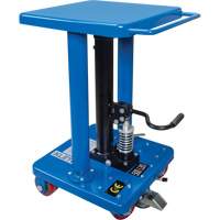 Hydraulic Work Table, 18" L x 18" W, Steel, 500 lbs. Capacity CSL Industriel Inc.