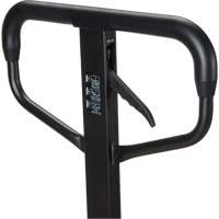 Quick-Lift Manual Pallet Truck, Steel, 48" L x 20.5" W, 5500 lbs. Capacity CSL Industriel Inc.