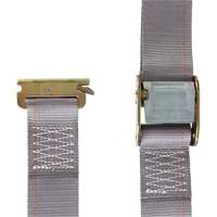 Heavy-Duty Utility Strap, Cam Buckle, 2" W x 16' L, 835 lbs. (379 kg) WLL CSL Industriel Inc.