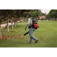 M18 FUEL Dual Battery Backpack Blower Kit, 18 V, 155 MPH Output, Battery Powered CSL Industriel Inc.