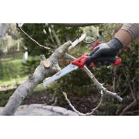 7” Folding Pruning Saw with ?Straight Blade CSL Industriel Inc.