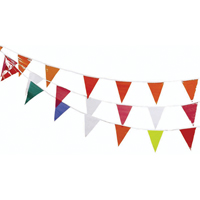 Pennant Flags