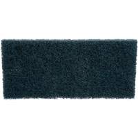Scrubber Pad, 10" L x 4-5/8" W CSL Industriel Inc.
