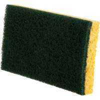 Utility Sponges, Cellulose, 6" W x 3-1/2" L CSL Industriel Inc.