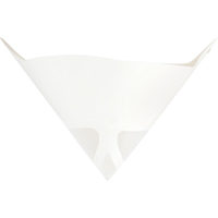 Paint Filters CSL Industriel Inc.