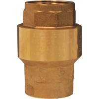 Horizontal Swing Check Valve CSL Industriel Inc.