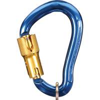 Nano-Lok Carabiner, Aluminum, 3600 lbs Capacity CSL Industriel Inc.