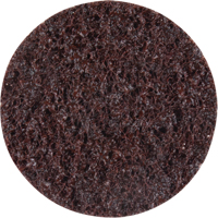 Standard Abrasives Surface Conditioning Discs, 2" Dia., Coarse Grit CSL Industriel Inc.