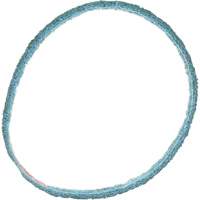 Scotch-Brite Surface Conditioning Belt CSL Industriel Inc.
