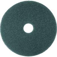 Cleaner Pad, 13", Scrubbing, Blue CSL Industriel Inc.
