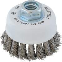 ALLSTEEL Wire Brush, 3" Dia. x 5/8"-11 Arbor CSL Industriel Inc.