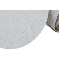 426U Stikit Paper Disc Roll, 6" Dia., 100 Grit, Silicon Carbide CSL Industriel Inc.