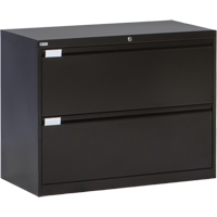 Lateral Filing Cabinet, Steel, 2 Drawers, 36" W x 18" D x 27-7/8" H, Black CSL Industriel Inc.