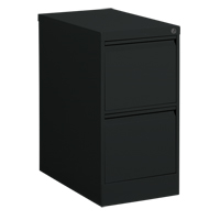 Vertical Filing Cabinet, Steel, 2 Drawers, 15-1/7" W x 25" D x 29" H, Black CSL Industriel Inc.
