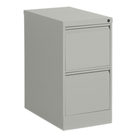Vertical Filing Cabinet, Steel, 2 Drawers, 15-1/7" W x 25" D x 29" H, Grey CSL Industriel Inc.