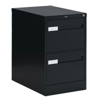 Vertical Filing Cabinet with Recessed Drawer Handles, 2 Drawers, 18.15" W x 26.56" D x 29" H, Black CSL Industriel Inc.