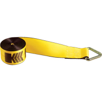 Winch Straps, Delta Ring, 4" W x 30' L, 5400 lbs. (2450 kg) Working Load Limit CSL Industriel Inc.