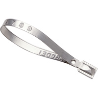 Guard Lock&reg; Seals, 8-3/8", Metal, Truck Seal CSL Industriel Inc.