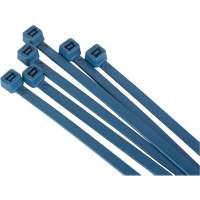 Attache-c&acirc;bles d&eacute;tectables par d&eacute;tecteur de m&eacute;taux, 6" lo, R&eacute;sistance &agrave; la traction 120 lb CSL Industriel Inc.