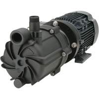 Self-Priming Magnetic Drive Pump with Carbon Bushing CSL Industriel Inc.