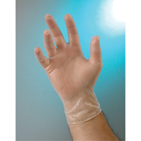 Gants d'examen, Petit, Vinyle, 4 mils, Sans poudre, Transparent, Classe 2 CSL Industriel Inc.