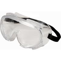 Encompass Safety Goggles, Clear Lens, Anti-Fog, Indirect Vent CSL Industriel Inc.