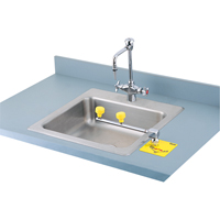 Swing-Away Eyewash Station, Counter-Mount Installation CSL Industriel Inc.