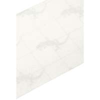 Premium Anti-Skid Tape, 4" x 60', Clear CSL Industriel Inc.