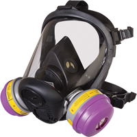 Respirateur &agrave; masque complet de s&eacute;rie RU6500 de North, Silicone, Petit CSL Industriel Inc.