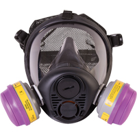 Respirateur &agrave; masque complet de s&eacute;rie RU6500 de North, Silicone, Petit CSL Industriel Inc.