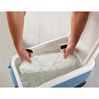 6215 Phase Change Packs for Cooling Vests CSL Industriel Inc.