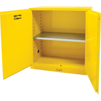 Flammable Storage Cabinet, 30 gal., 2 Door, 43" W x 44" H x 18" D CSL Industriel Inc.